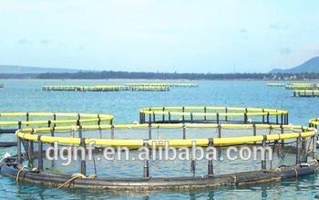 Customizable Floating Fish Cage for Tilapia Fishing Winch Harvesting Machinery Type
