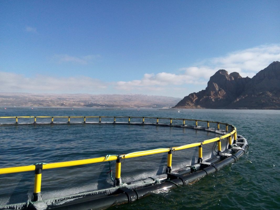 1 Year After-sales Service Round Floating Cage for Fish Made of PE Pipe
