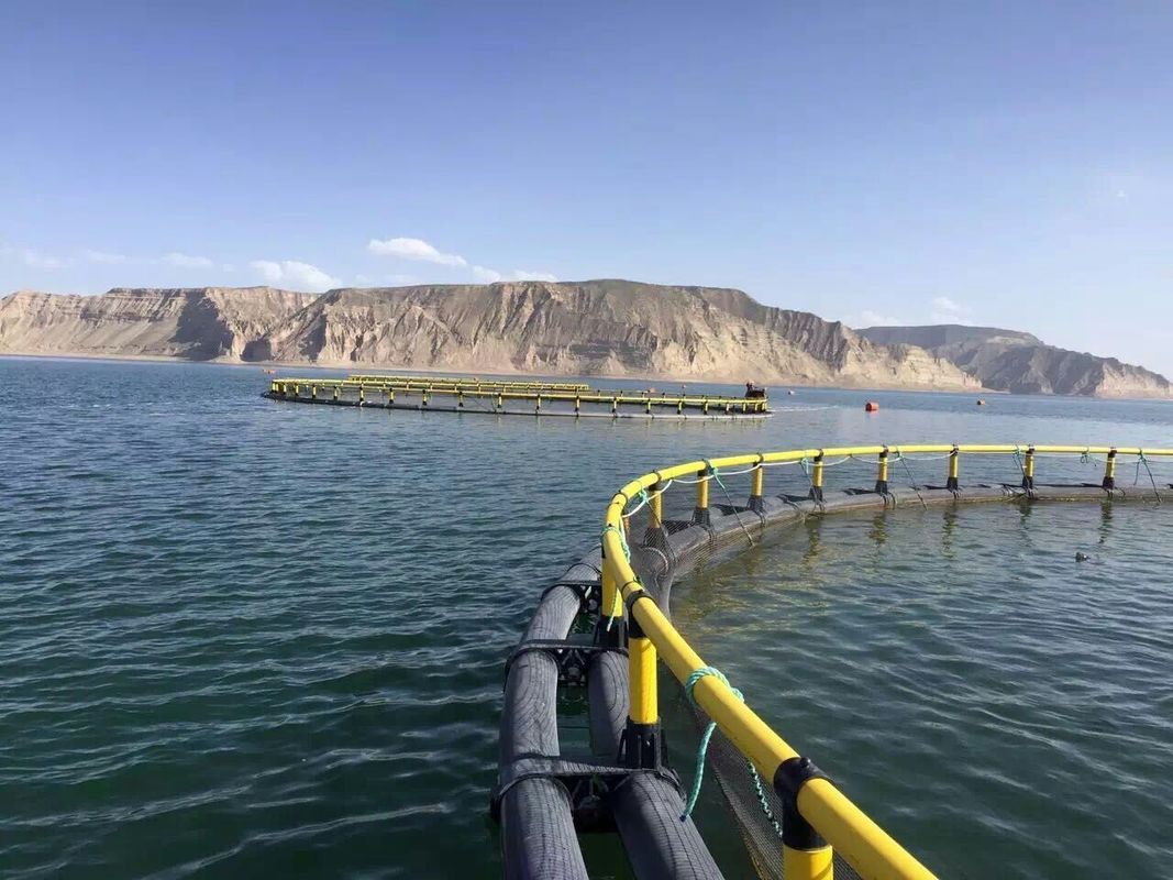 HDPE Pipe Circular Fish Cage For Fresh Water Fish Farming In Pond And Lake