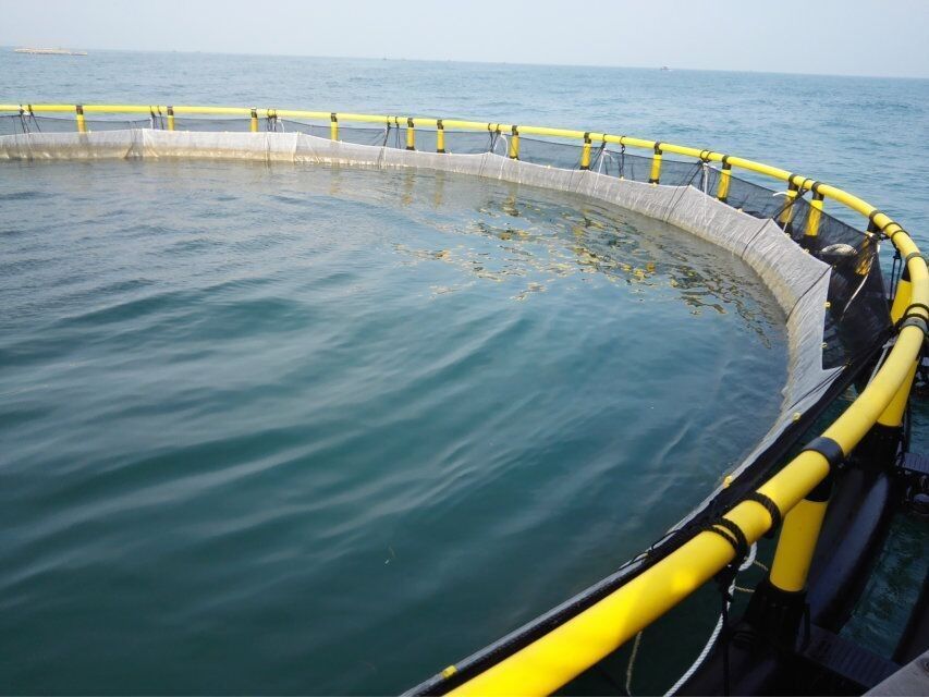 Sea HDPE Fish Cage Anti Wind For Processing And Trawling Method