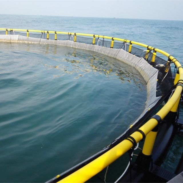 Custom-Made Black and Yellow Polyethylene Deep-Sea Aquaculture Cage Prices from Nylon Reservoir Fish Cage Manufacturers