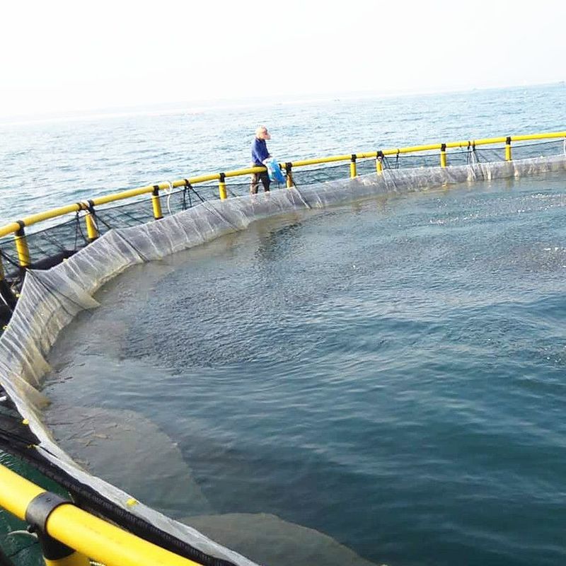 Custom-Made Black and Yellow Polyethylene Deep-Sea Aquaculture Cage Prices from Nylon Reservoir Fish Cage Manufacturers
