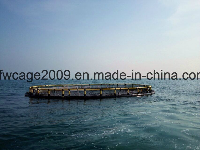 90m Nfw Floating Fish Aquaculture Net Cage For Sea Aquaculature