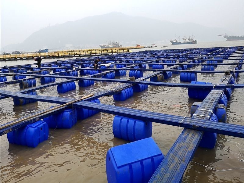 Plastic Material Buoy Floating Fish Cage For Lake Or Pond Customization