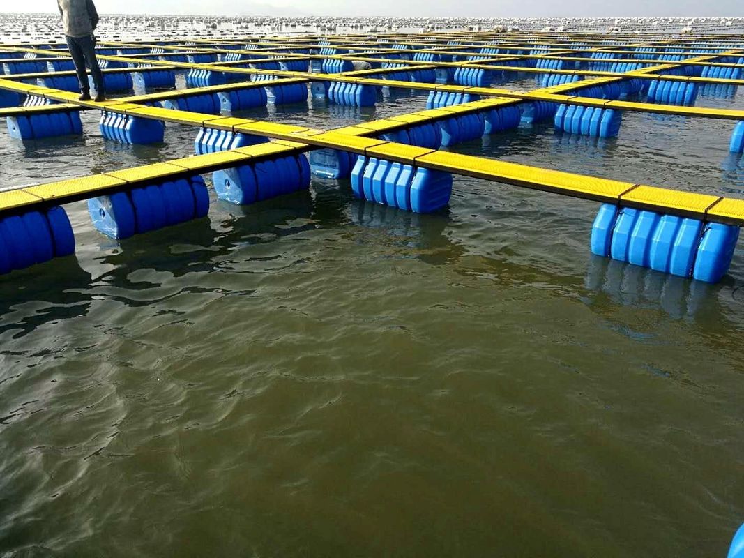 Plastic Material Buoy Floating Fish Cage For Lake Or Pond Customization