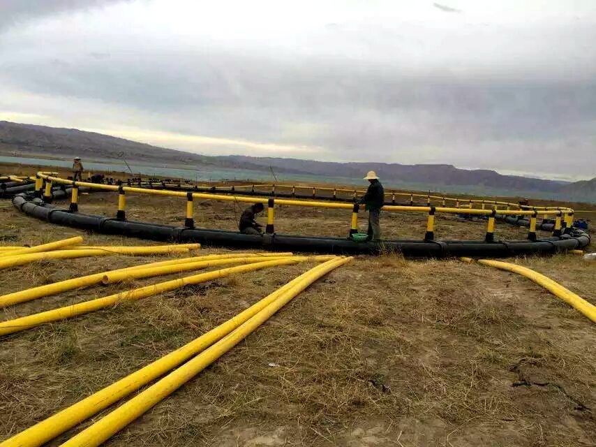 Aquaculture Anti Wave HDPE Fish Cage 10m 60m Diameter With Floating Pipe