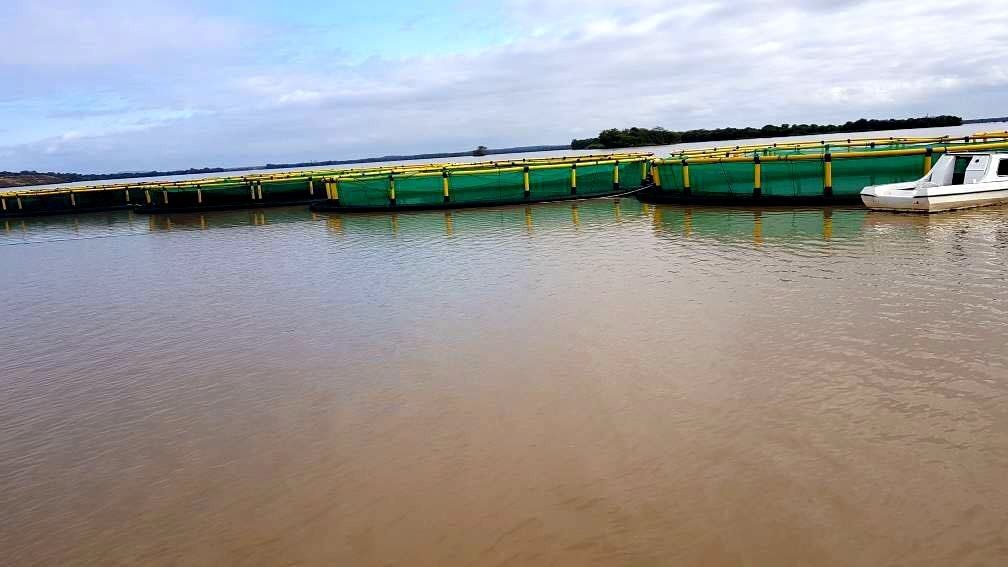Aquaculture Anti Wave HDPE Fish Cage 10m 60m Diameter With Floating Pipe