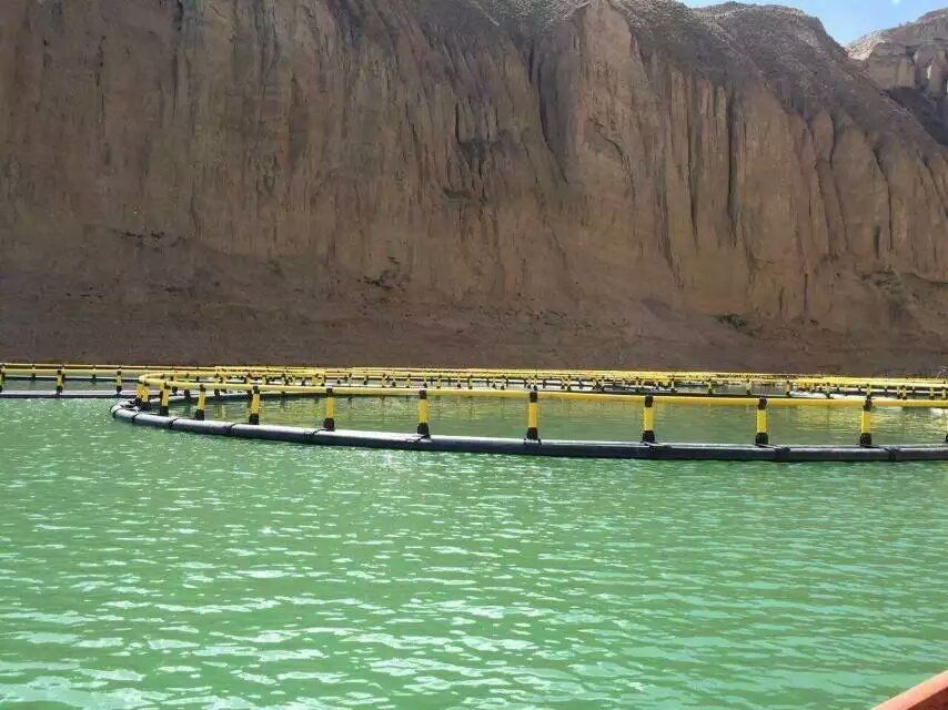 Aquaculture Anti Wave HDPE Fish Cage 10m 60m Diameter With Floating Pipe