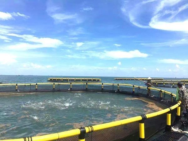HDPE Pipe And Fittings PE Bracket Circular Fish Cage For Gentian Fish Farming