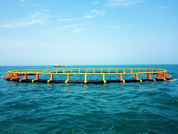 Black and Yellow Floating Fish Farming Net Cage Customized in Kenya