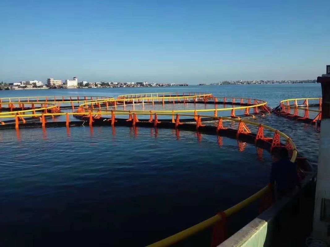 Black and Yellow Floating Fish Farming Net Cage Customized in Kenya