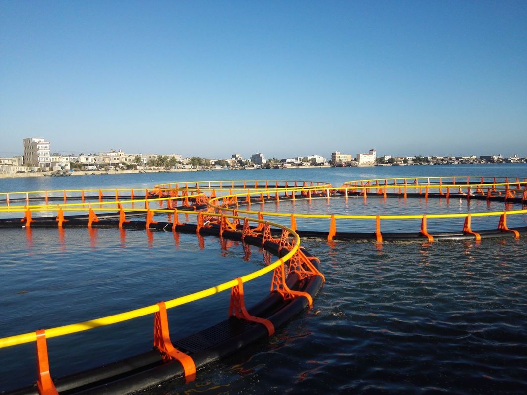 Black and Yellow Floating Fish Farming Net Cage Customized in Kenya