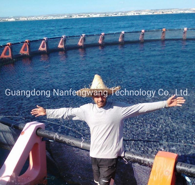 10m 60m Diameter Strong HDPE Floating Aquaculture Fish Farming Circular Cage for Tilapia Fishing Net Farm by Nanfengwang