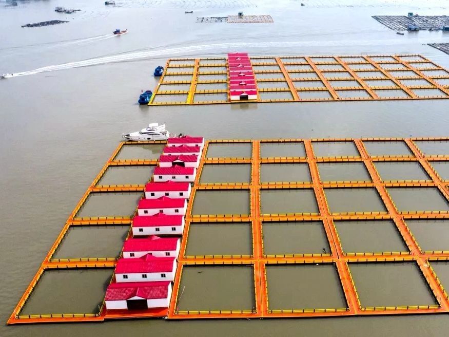 315mm Floating Pipe Square HDPE Fish Cage 4X4m Customized Floating In Lake Or River