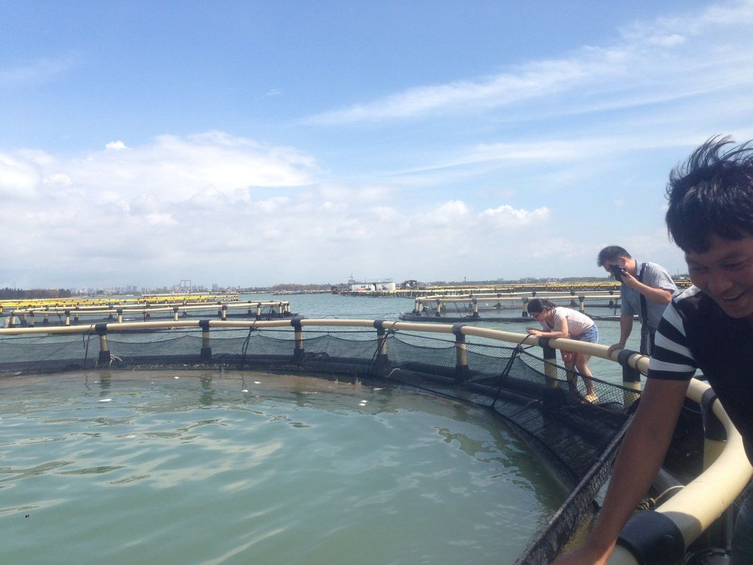 HDPE Pipe and 315mm Floating Pipe for Long-Lasting Fish Farming Cage Cast Net Nylon Fishing Net