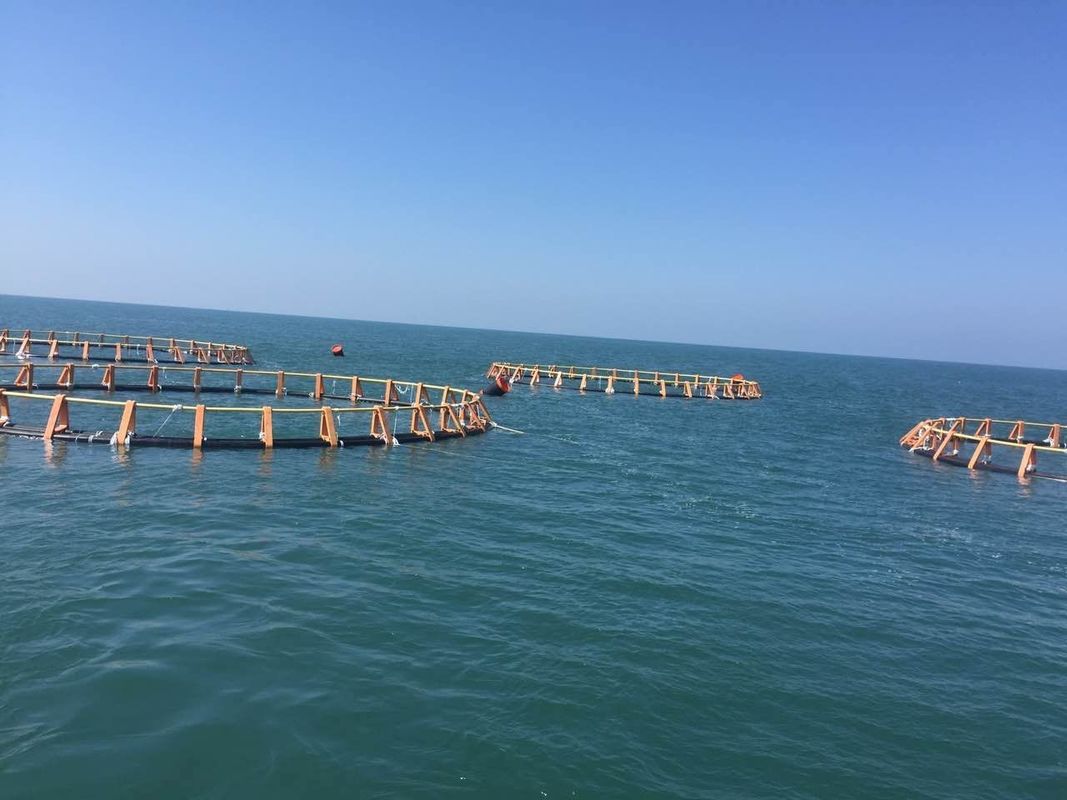 10 To 38m Diameters Circular Fish Cages Anti Wind With 315mm Floating Pipe