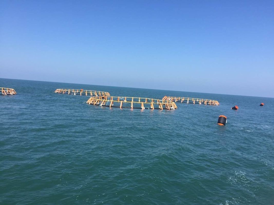 10 To 38m Diameters Circular Fish Cages Anti Wind With 315mm Floating Pipe