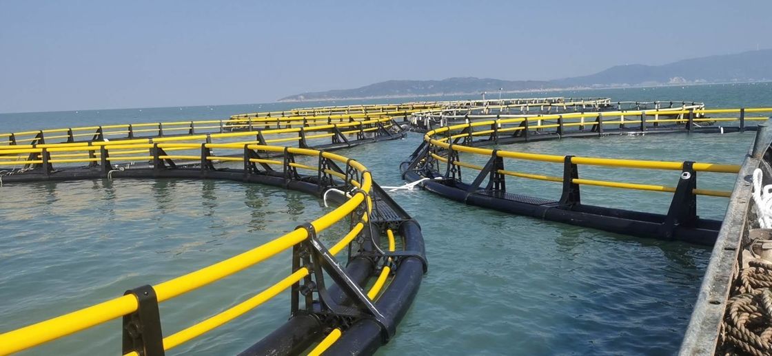 10 To 38m Diameters Circular Fish Cages Anti Wind With 315mm Floating Pipe