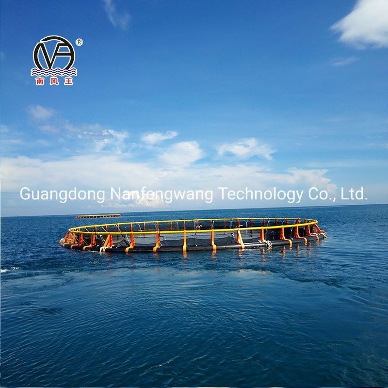 Deep Sea Aquaculture HDPE Super Strong Cage with Design and 450mm Floating Pipe