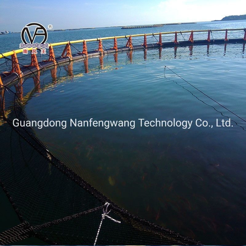 Deep Sea Aquaculture HDPE Super Strong Cage with Design and 450mm Floating Pipe