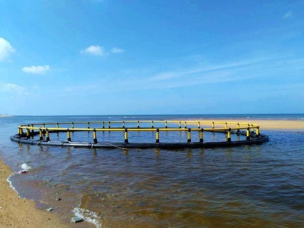 Fish Farming Aquaculture Net Cage Diameter 20m With Floating Pipe 200mm/450mm/500mm
