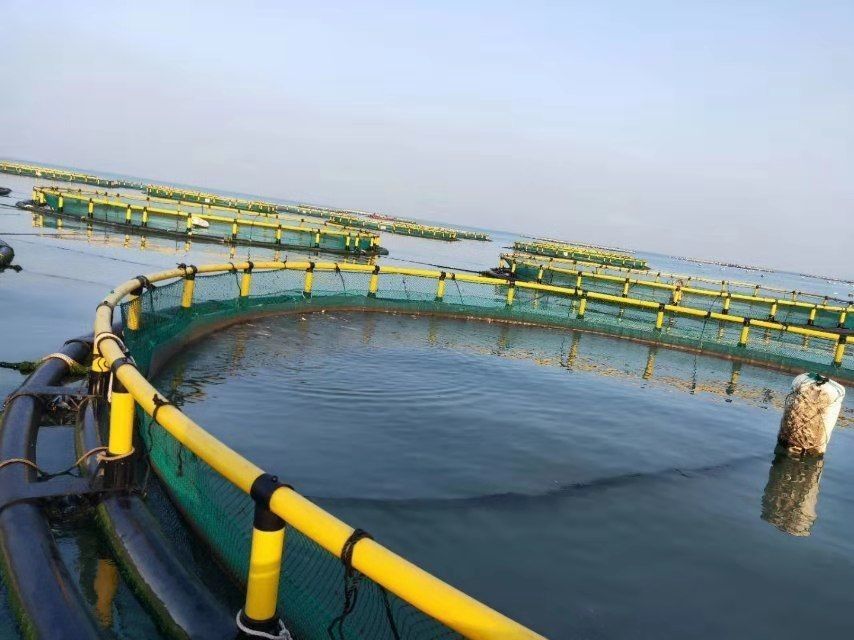Fish Farming Aquaculture Net Cage Diameter 20m With Floating Pipe 200mm/450mm/500mm