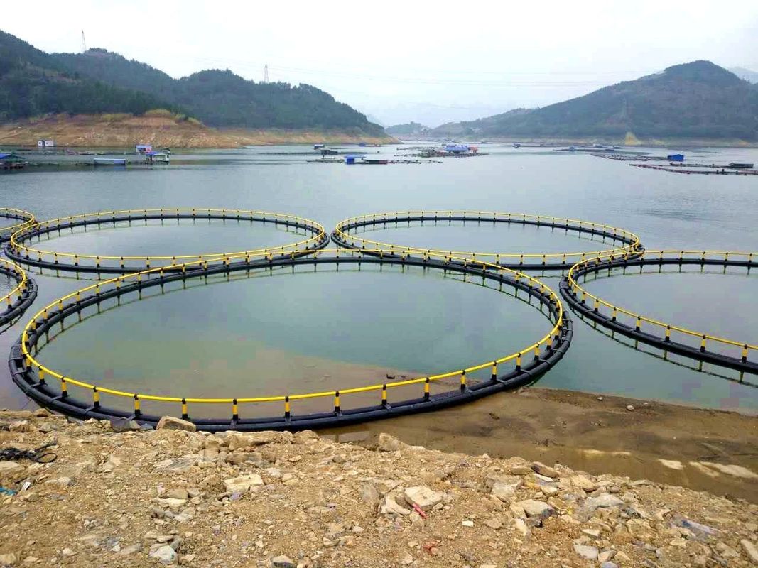 Fish Farming Aquaculture Net Cage Diameter 20m With Floating Pipe 200mm/450mm/500mm