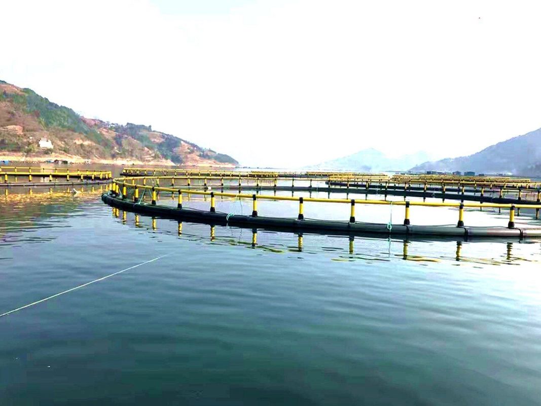 Fish Farming Aquaculture Net Cage Diameter 20m With Floating Pipe 200mm/450mm/500mm