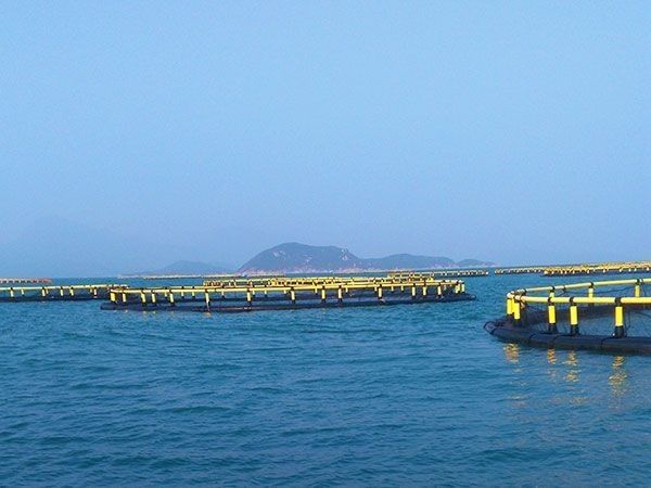 HDPE Circular Fish Farming Cage 30m Diameter For Aquaculture And Customization