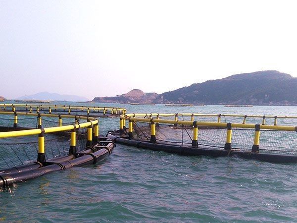 HDPE Circular Fish Farming Cage 30m Diameter For Aquaculture And Customization