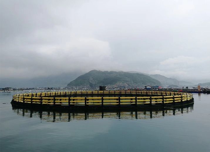 Customizable Hdpe Fish Cage For Marine And Freshwater Farming Customization