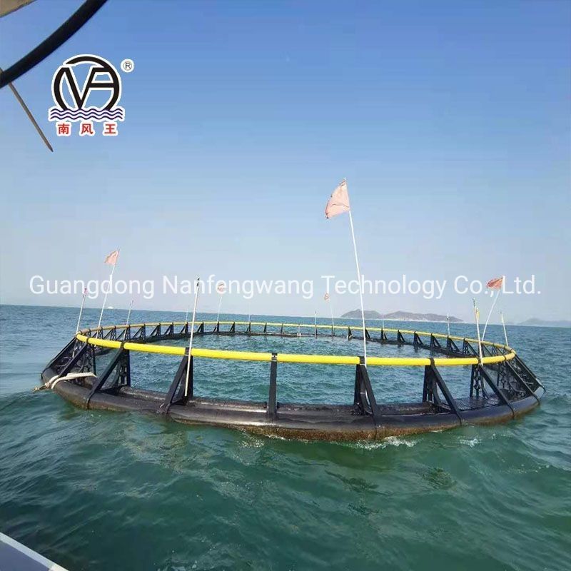 PE Enhanced Deep Water Farming Aquaculture Fish Cage In African Lakes