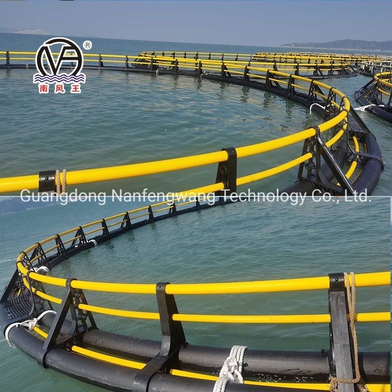 PE Enhanced Deep Water Farming Aquaculture Fish Cage In African Lakes