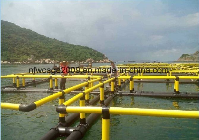 Delivery Detail Two Weeks After Receiving Deposit and Customization HDPE Plastic Fishery Fish Cage with Floating Design