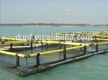 Delivery Detail Two Weeks After Receiving Deposit and Customization HDPE Plastic Fishery Fish Cage with Floating Design
