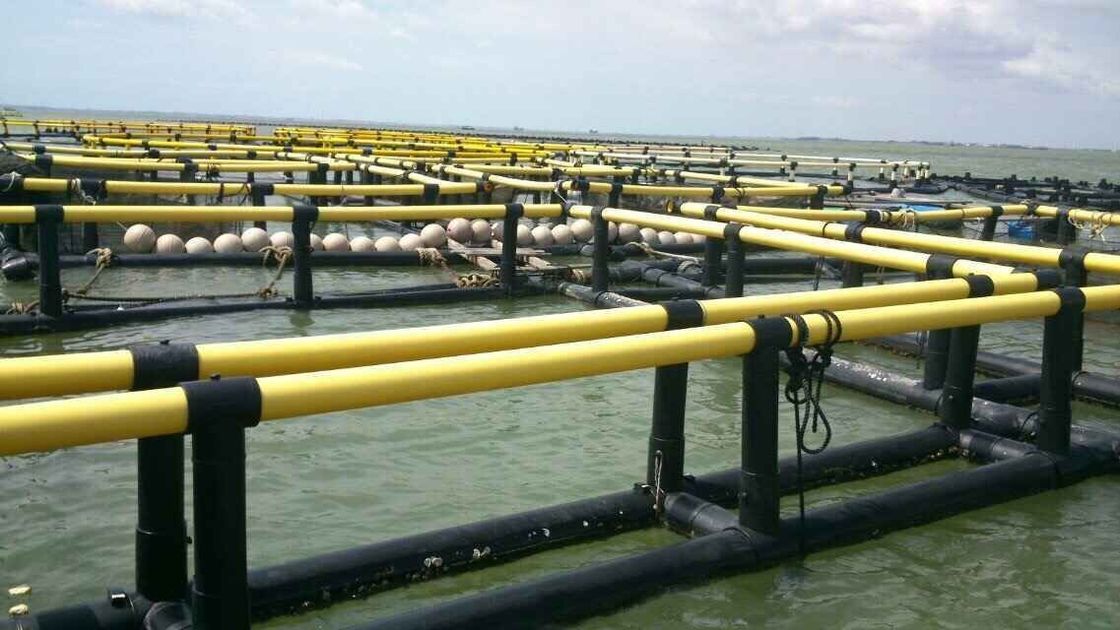 Delivery Detail Two Weeks After Receiving Deposit and Customization HDPE Plastic Fishery Fish Cage with Floating Design