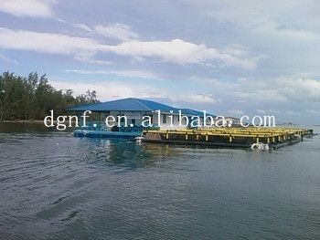 Delivery Detail Two Weeks After Receiving Deposit and Customization HDPE Plastic Fishery Fish Cage with Floating Design