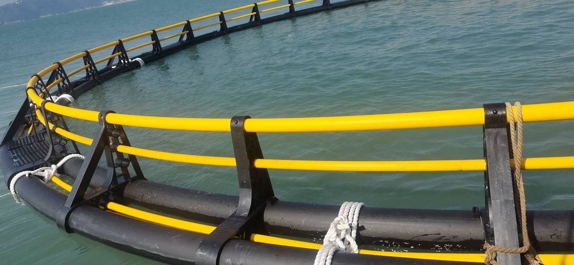 Floating Pipe 315mm HDPE Plastic Fish Farming Cage for Breeding Tilapia Fish in 10m 60m Diameter and Bracket