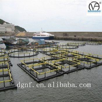 Black and Yellow HDPE Pipe Aquaculture Fish Cage Floating Leisure Cage with High Durability