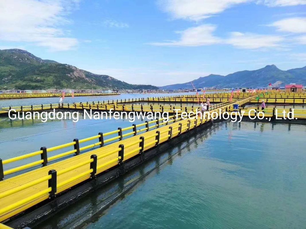 Ocean Lake Floating Leisure Cage Platform and Walkway Delivery Detail Two Weeks After Receiving Deposit