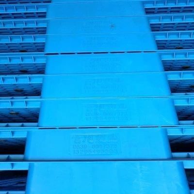 Dispersoid Plastic Warehouse Moisture Barrier or Forklift Pallet 150.00cm * 70.00cm * 40.00cm for Processing Services