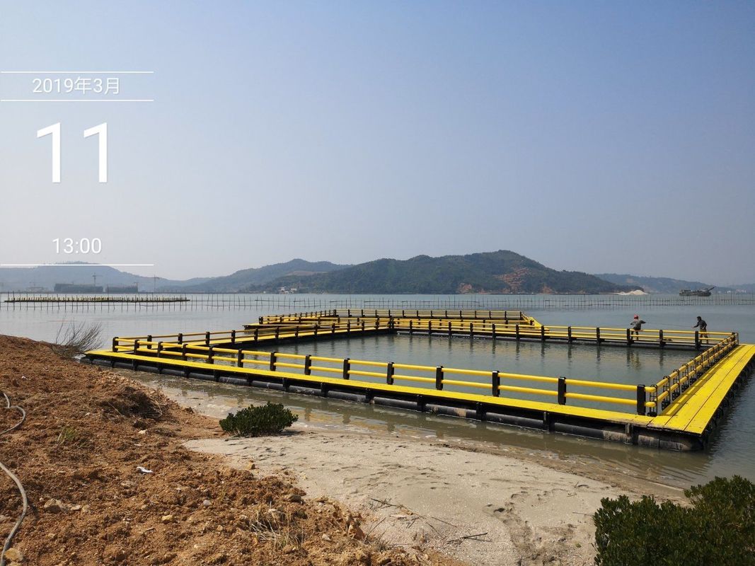 Support payments in USD Nanfengwang Deep Sea Aquaculture Fish Farming Net Floating Square Abalone Leisure Fishing Cage