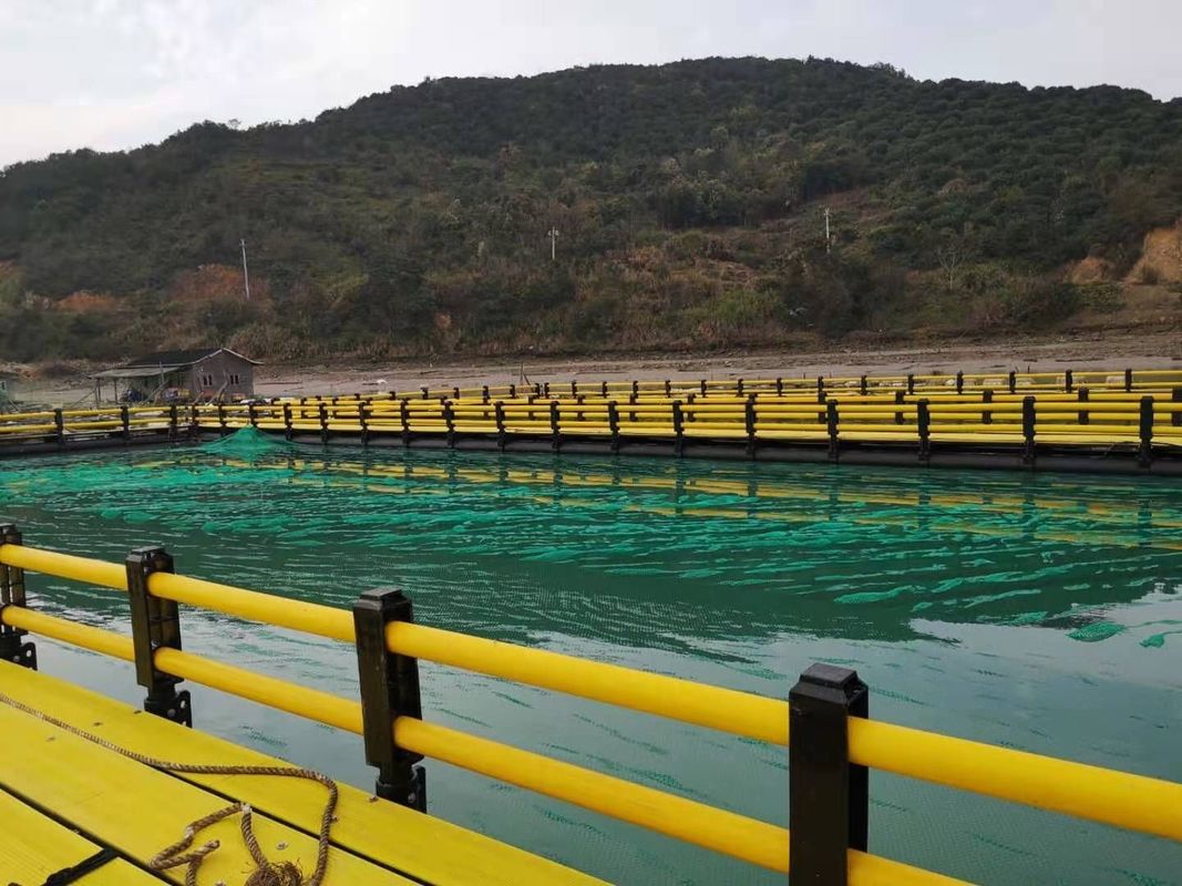 Round HDPE Pipe Circular Floating Net Cage for Fish Farming Made of HDPE and USD Payments