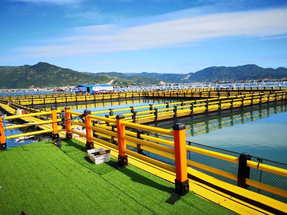 Round HDPE Pipe Circular Floating Net Cage for Fish Farming Made of HDPE and USD Payments