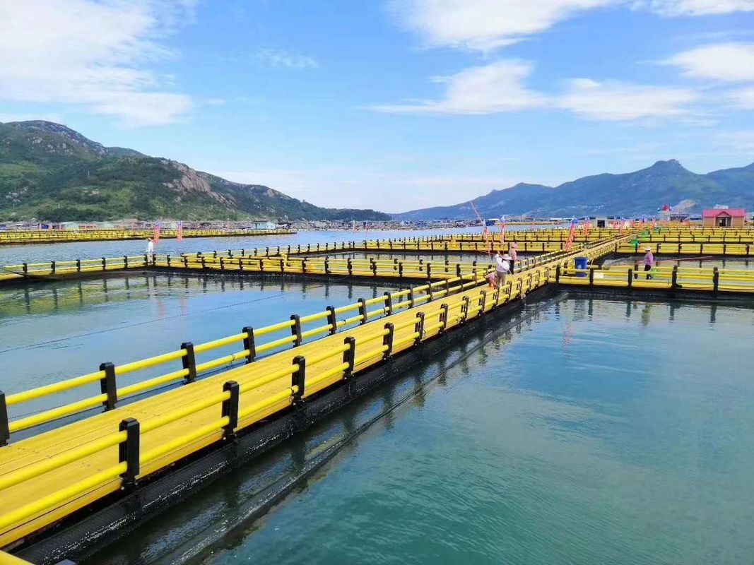 Round HDPE Pipe Circular Floating Net Cage for Fish Farming Made of HDPE and USD Payments