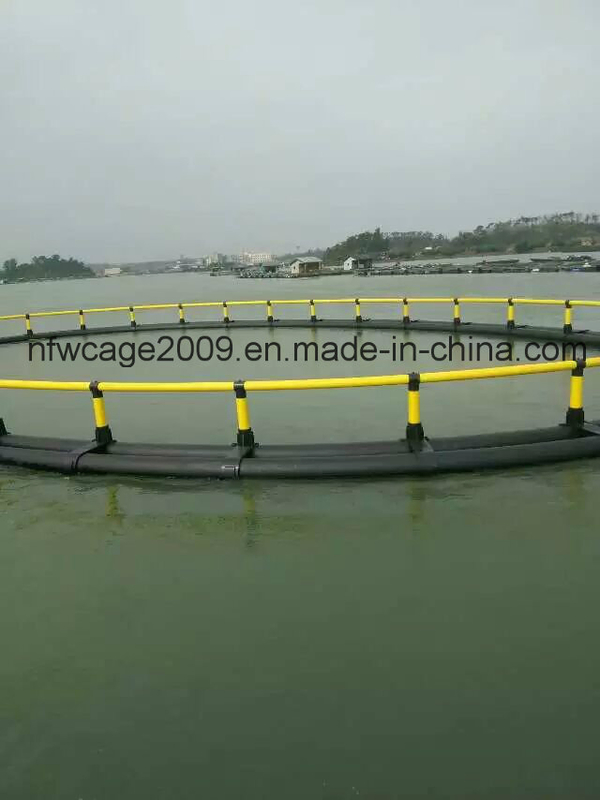 HDPE Circular Fish Cage 10m-50m Diameter with 200mm-400mm Floating Pipe