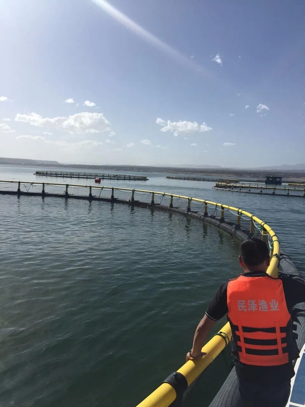 HDPE Floating Fish Cage 10m-50m Diameter with 200mm-400mm Pipe