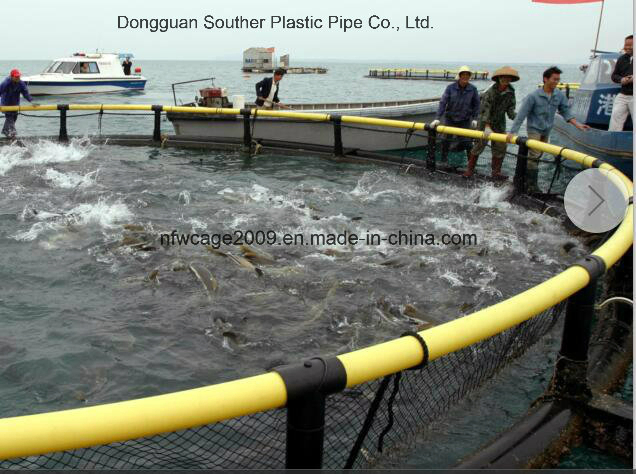 HDPE Floating Fish Cage 10m-50m Diameter with 200mm-400mm Pipe