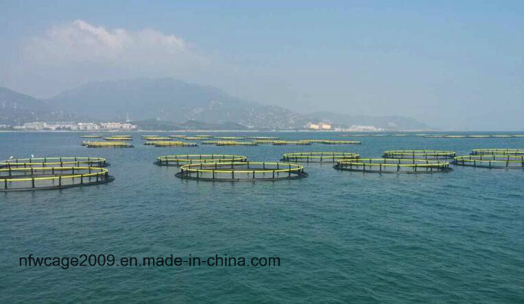HDPE Floating Fish Cage 10m-50m Diameter with 200mm-400mm Pipe