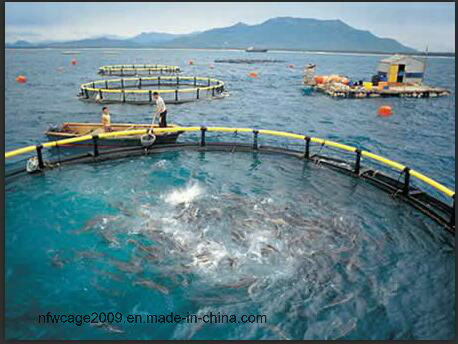 HDPE Fish Farming Cage 10m-50m Diameter 200mm-400mm Pipe